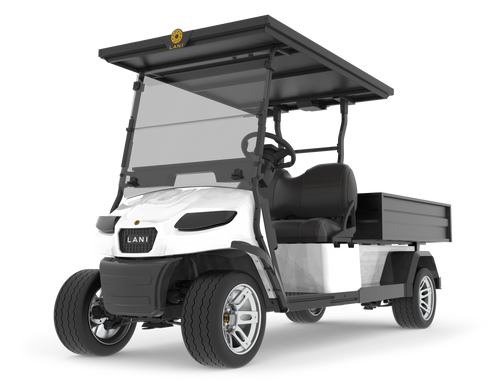 L2 Utility Electric Cart