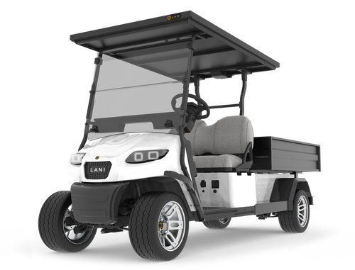L2 Utility Electric Cart