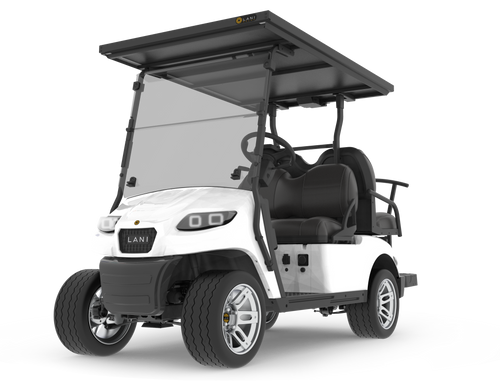 L2+2 Electric Golf Cart