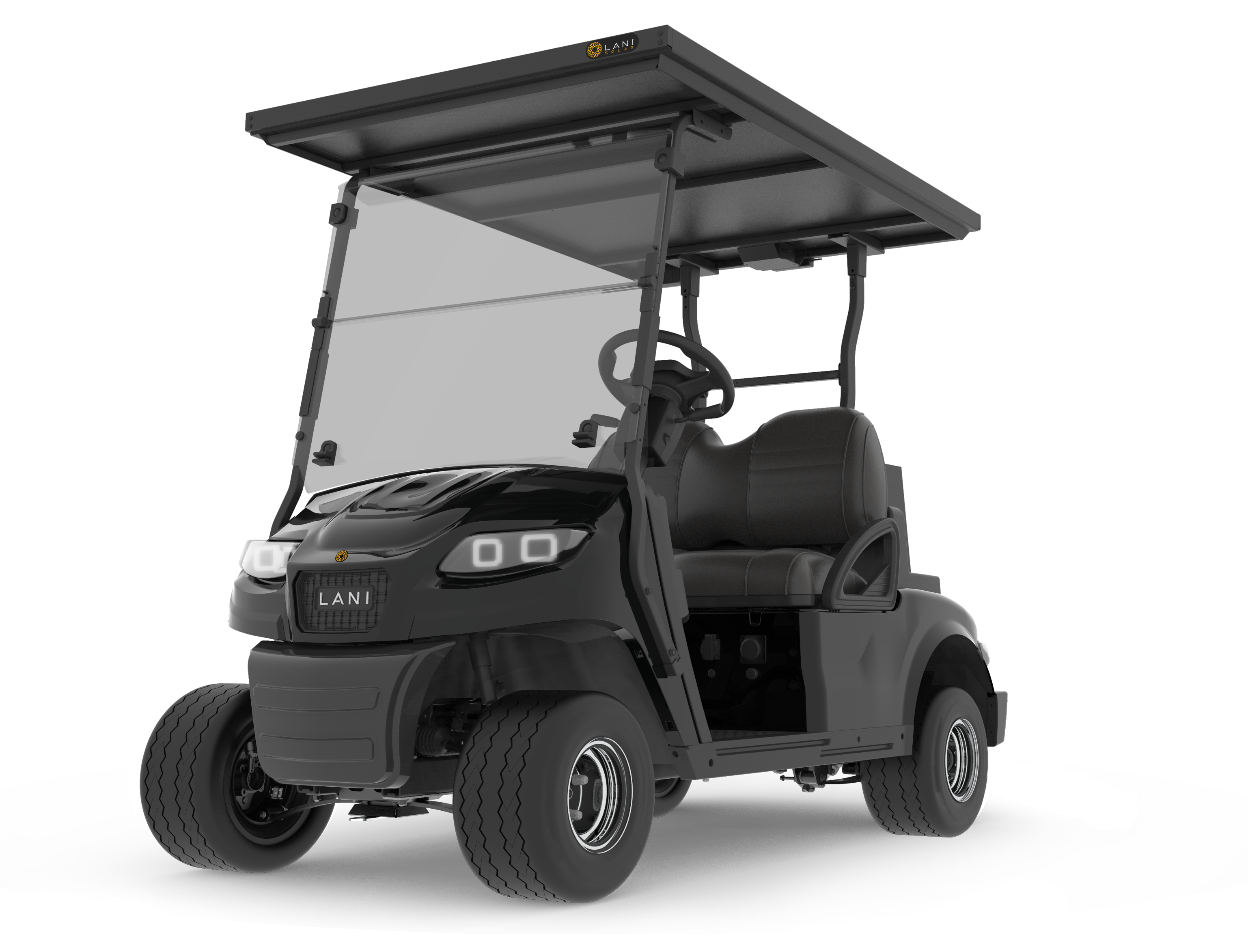 L2 Electric Golf Cart