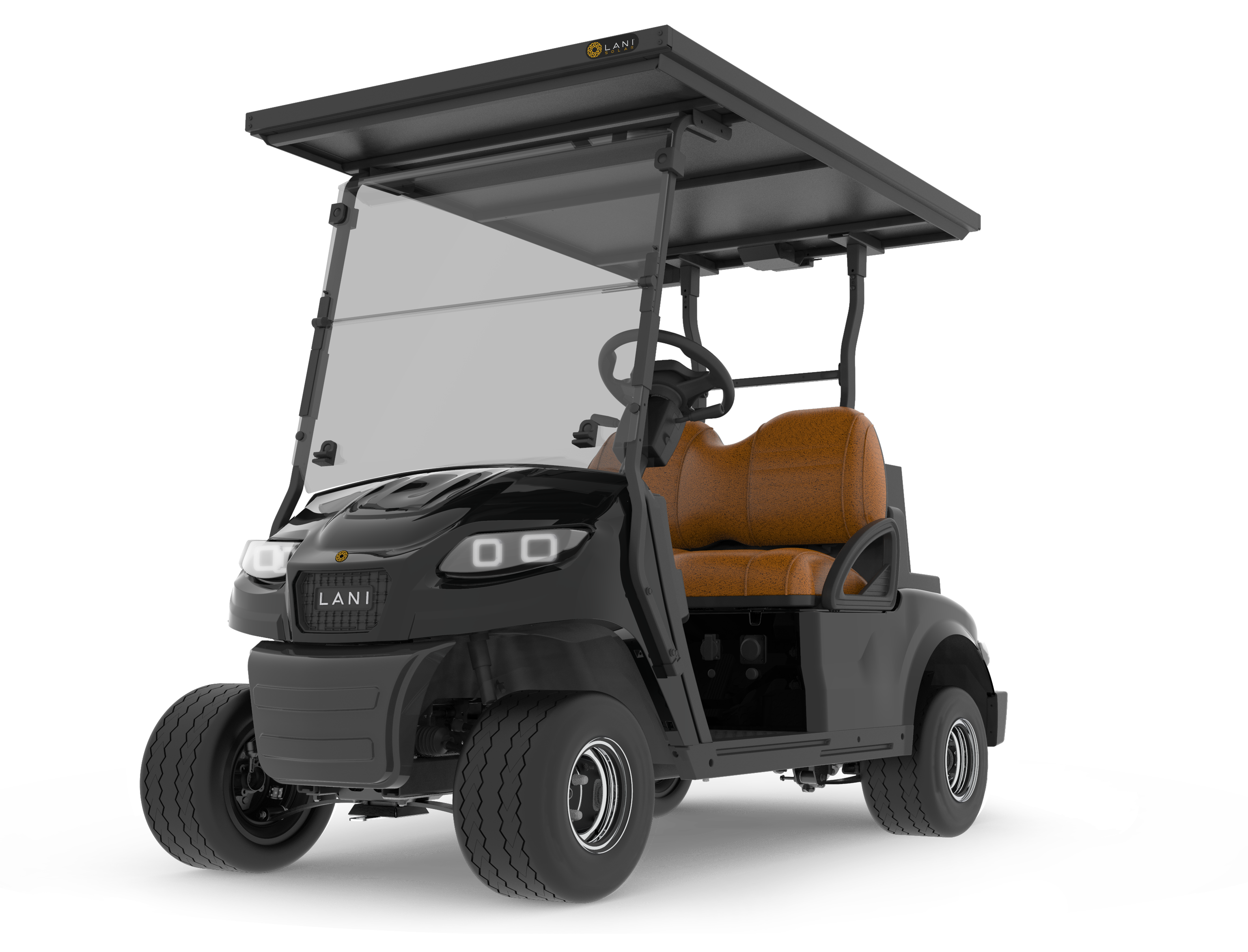 L2 Electric Golf Cart