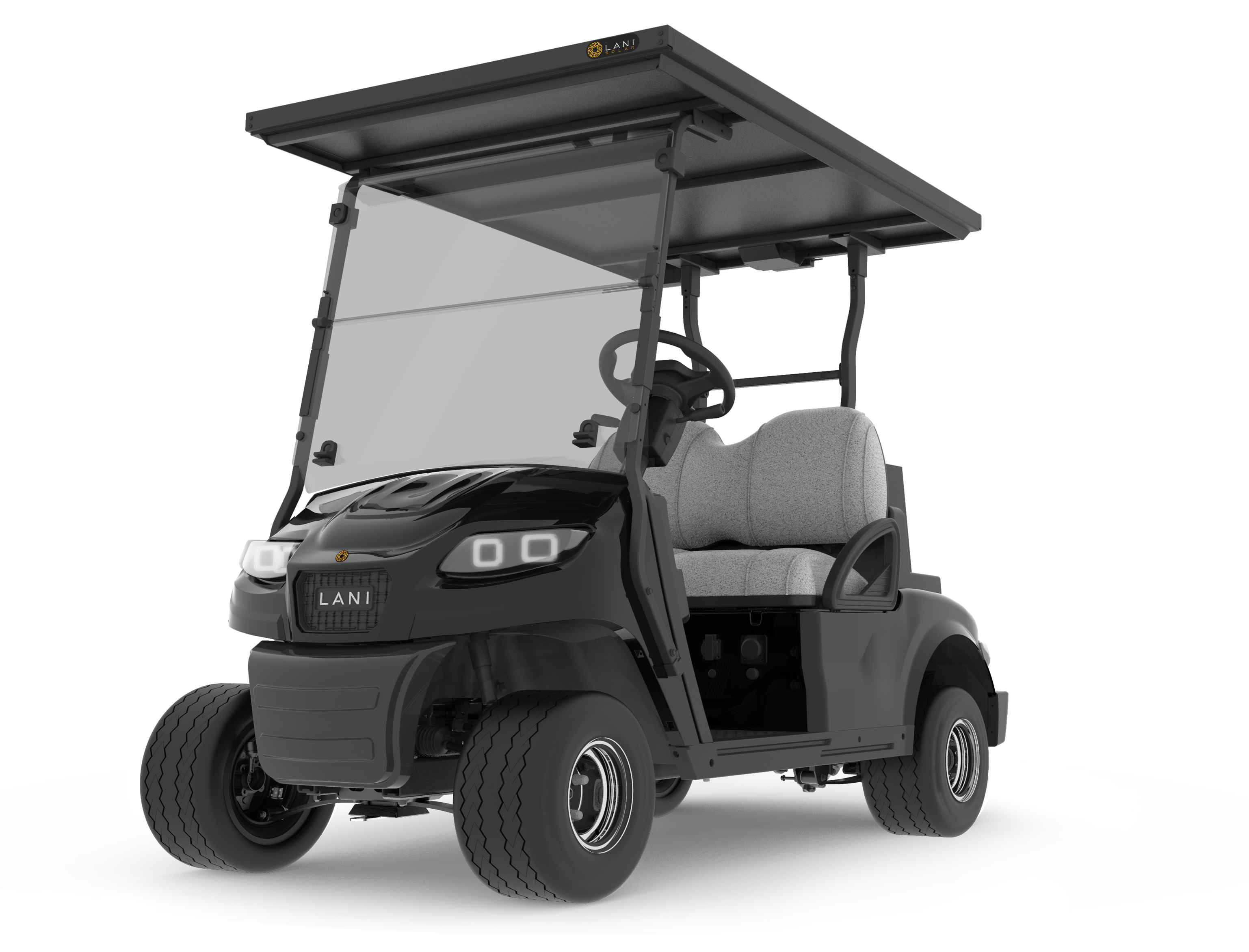 L2 Electric Golf Cart