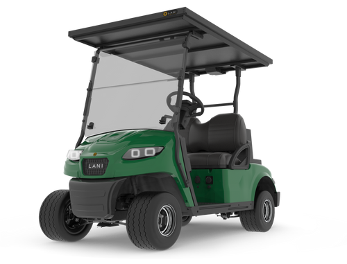 L2 Electric Golf Cart