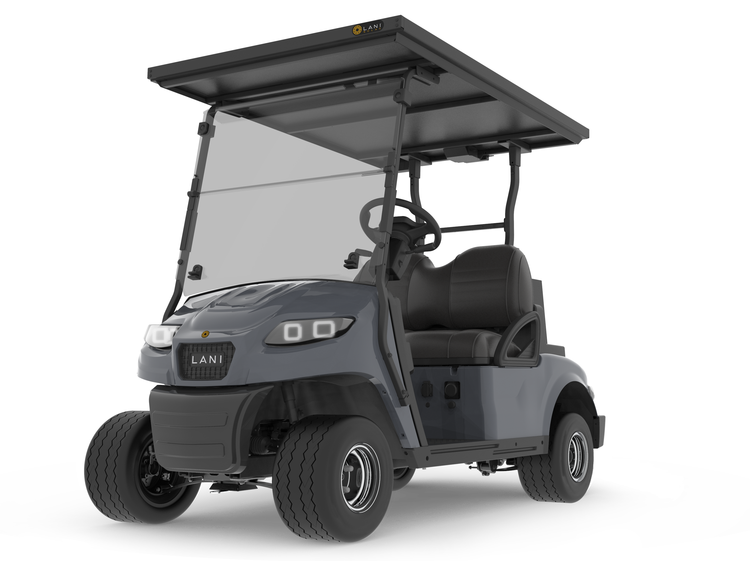 L2 Electric Golf Cart