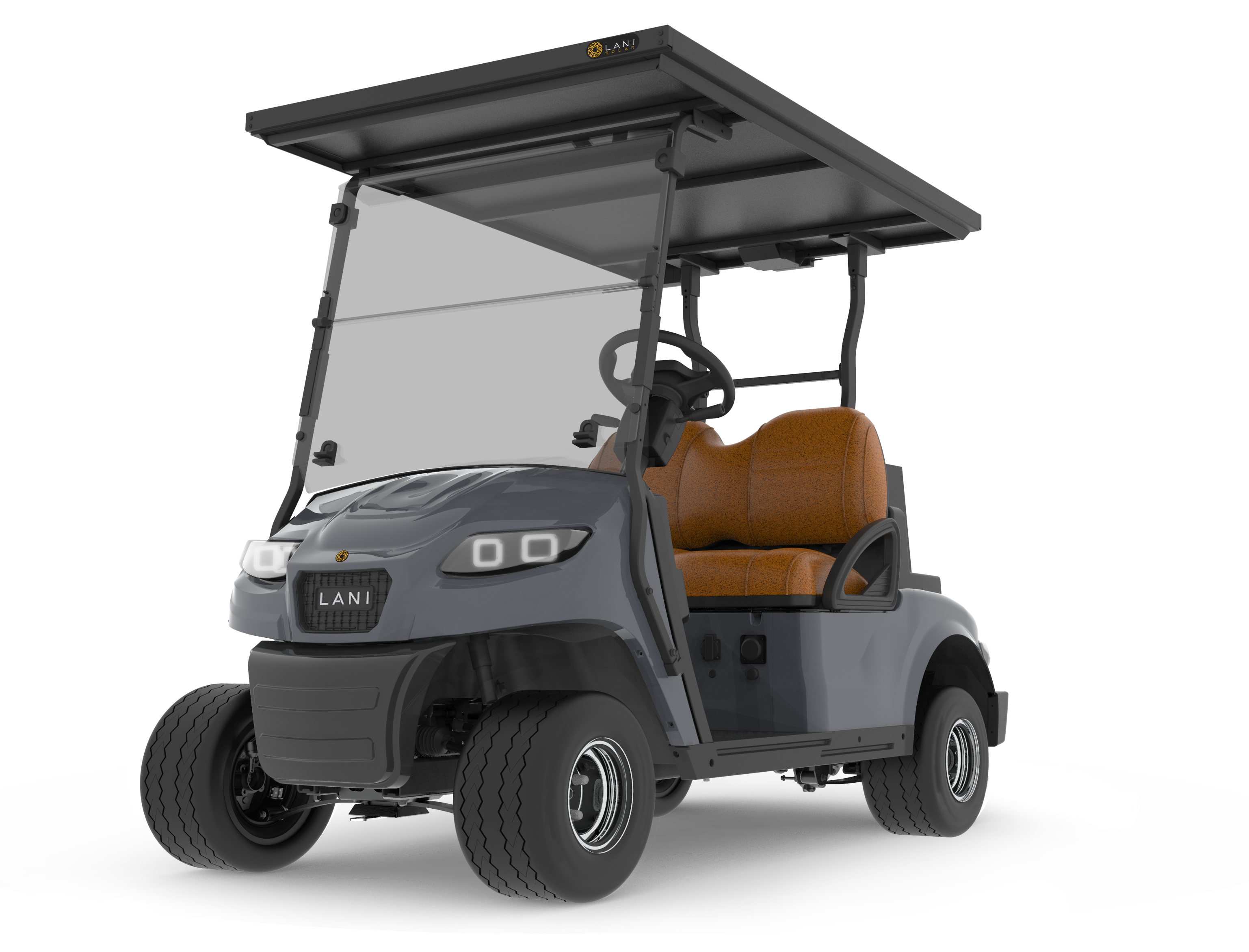 L2 Electric Golf Cart