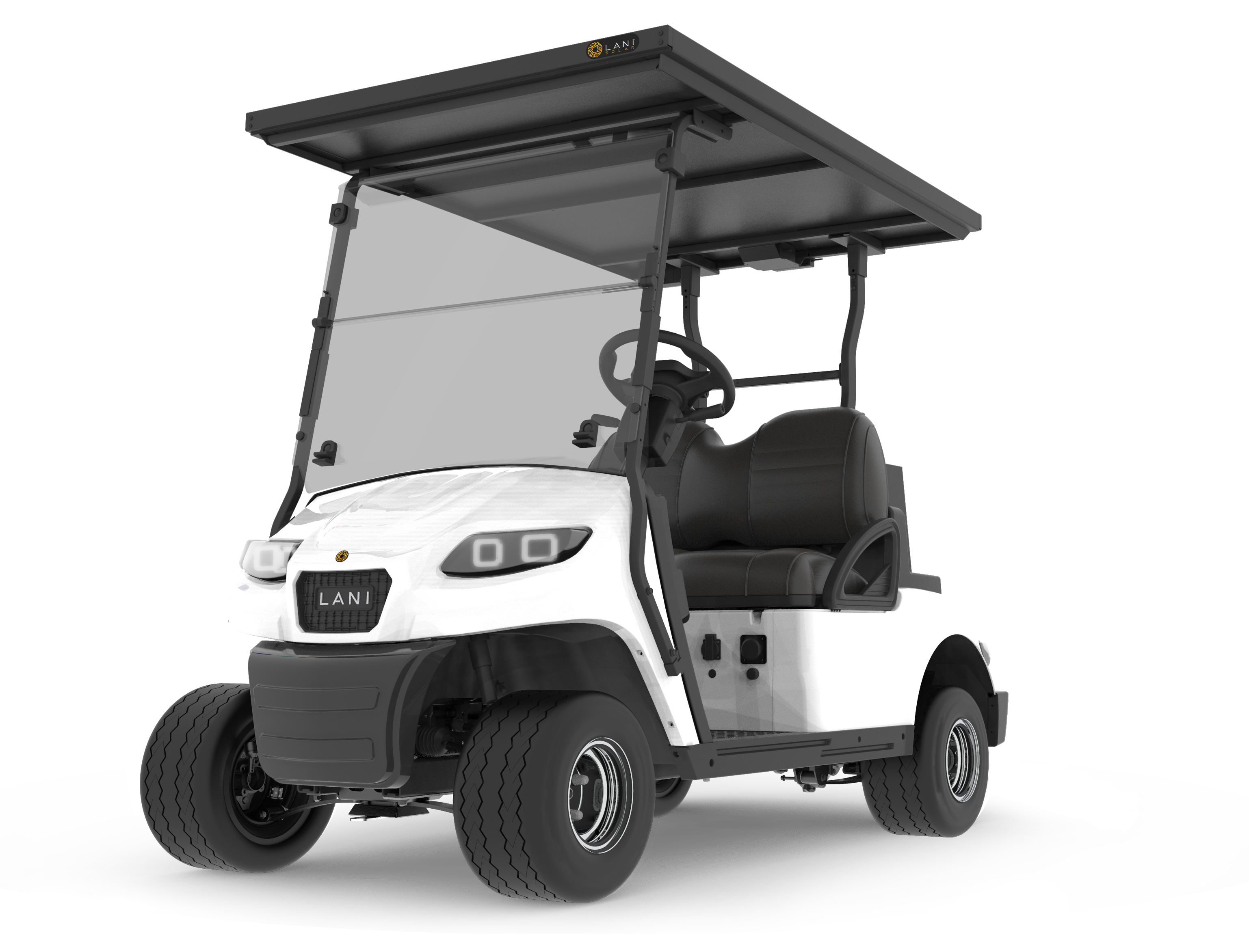 L2 Electric Golf Cart