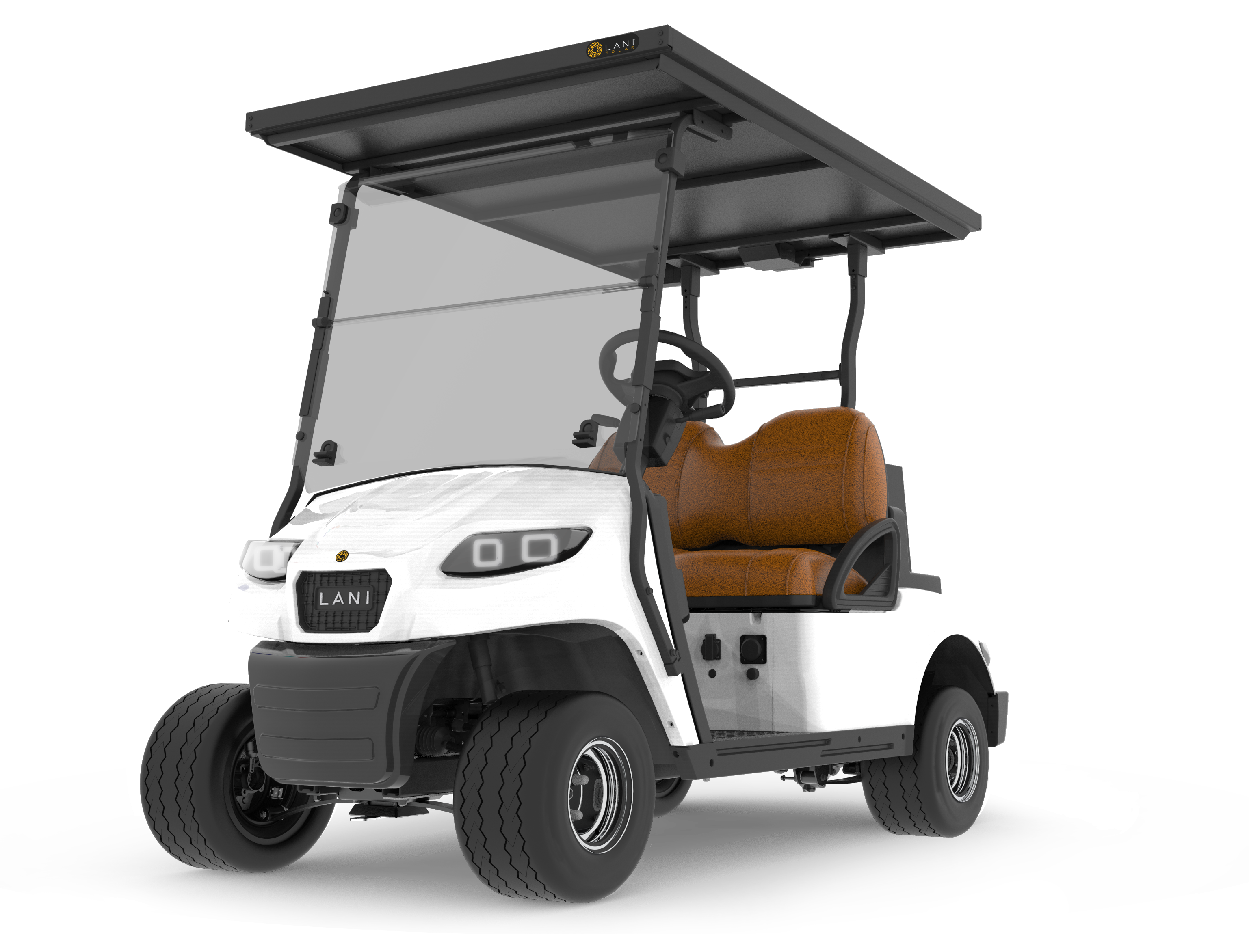 L2 Electric Golf Cart