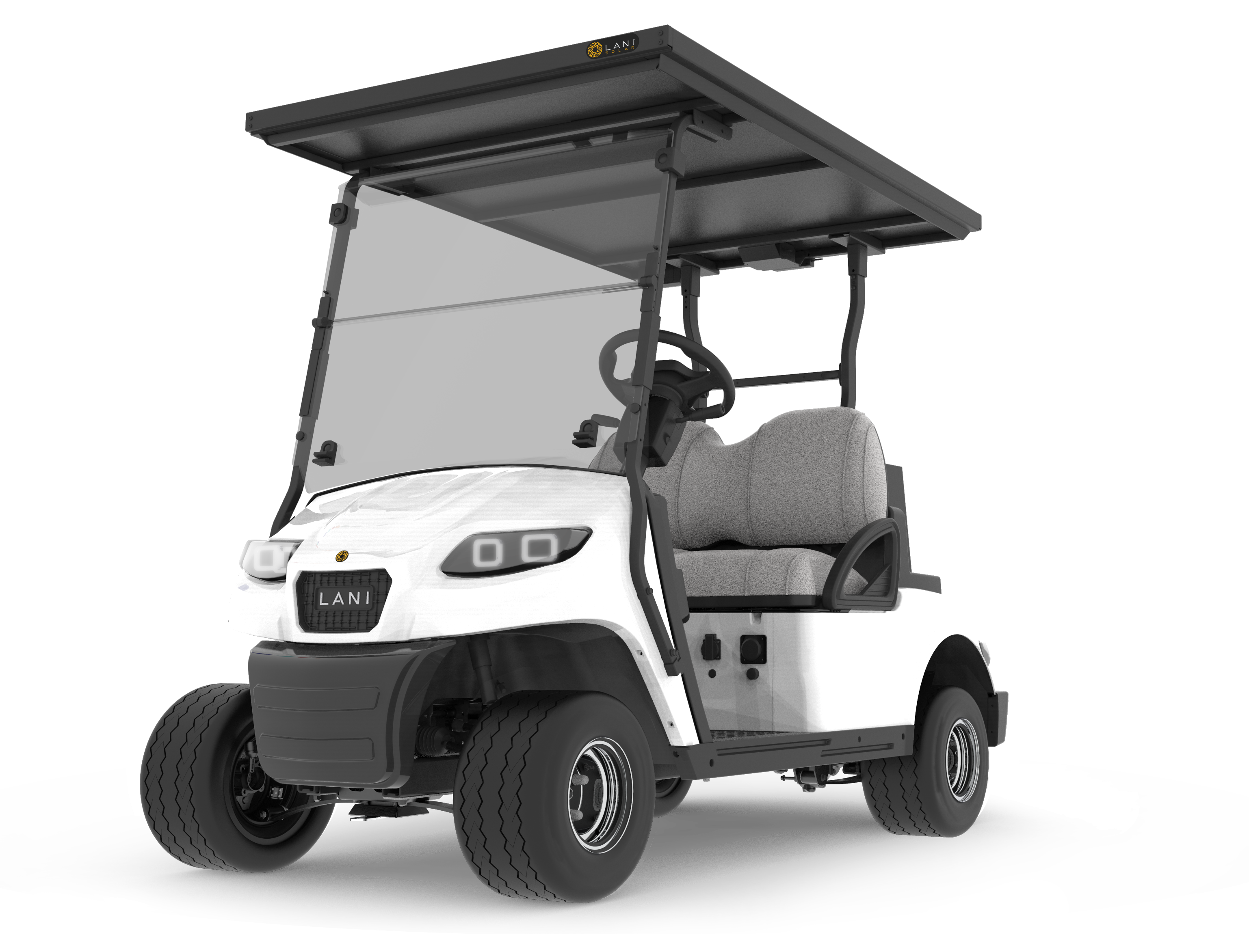 L2 Electric Golf Cart