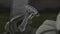 Tilt Steering
