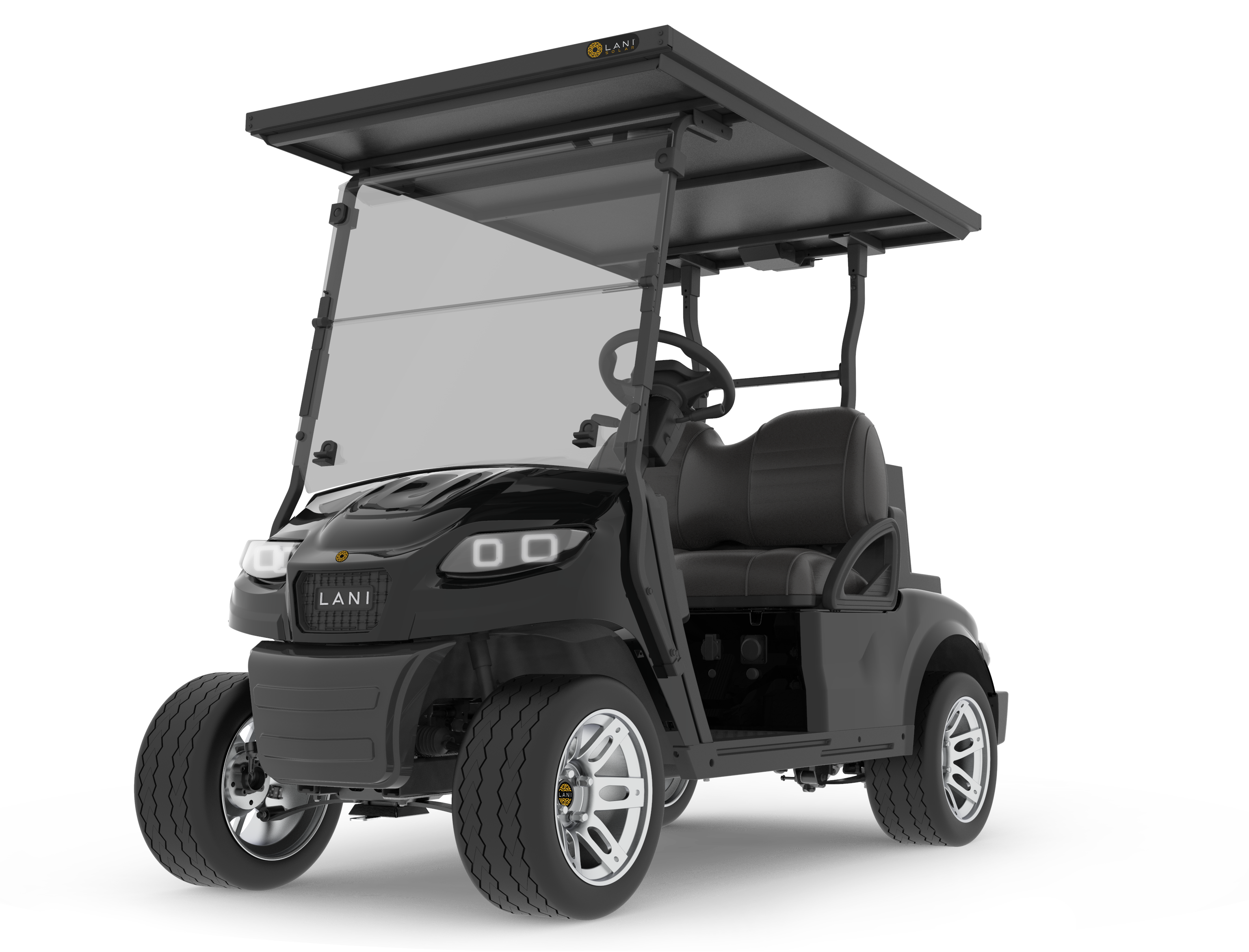 L2 Electric Golf Cart