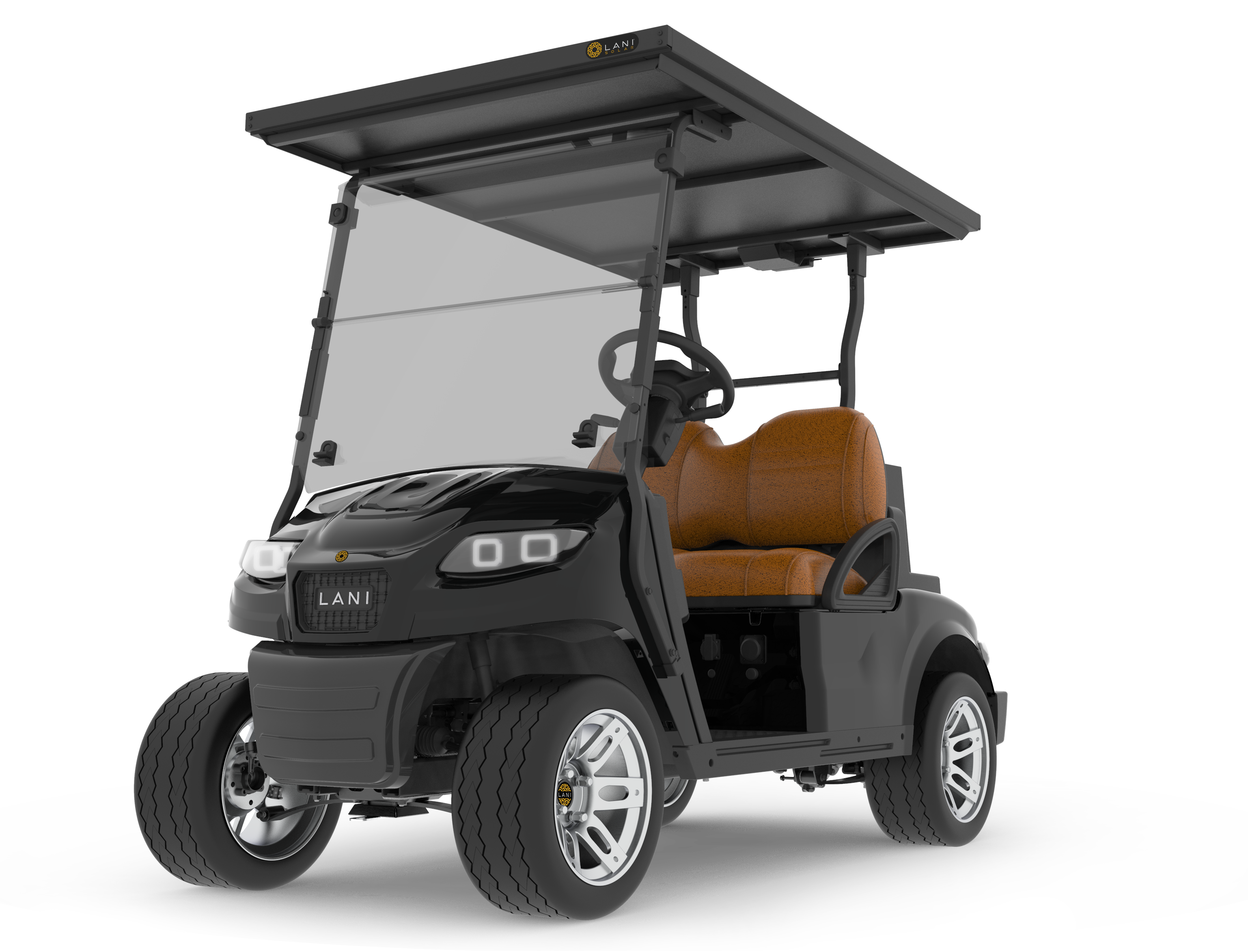 L2 Electric Golf Cart