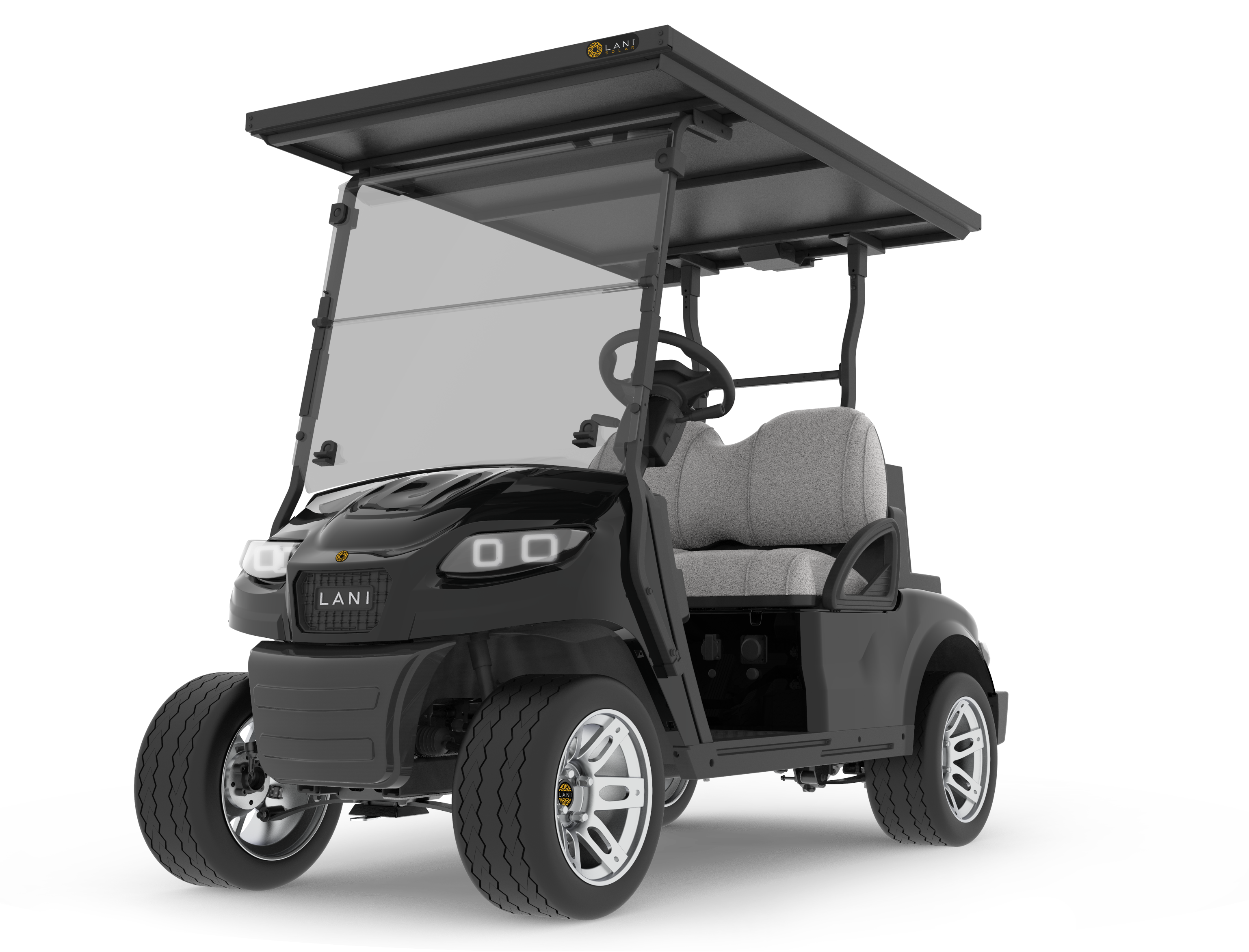 L2 Electric Golf Cart