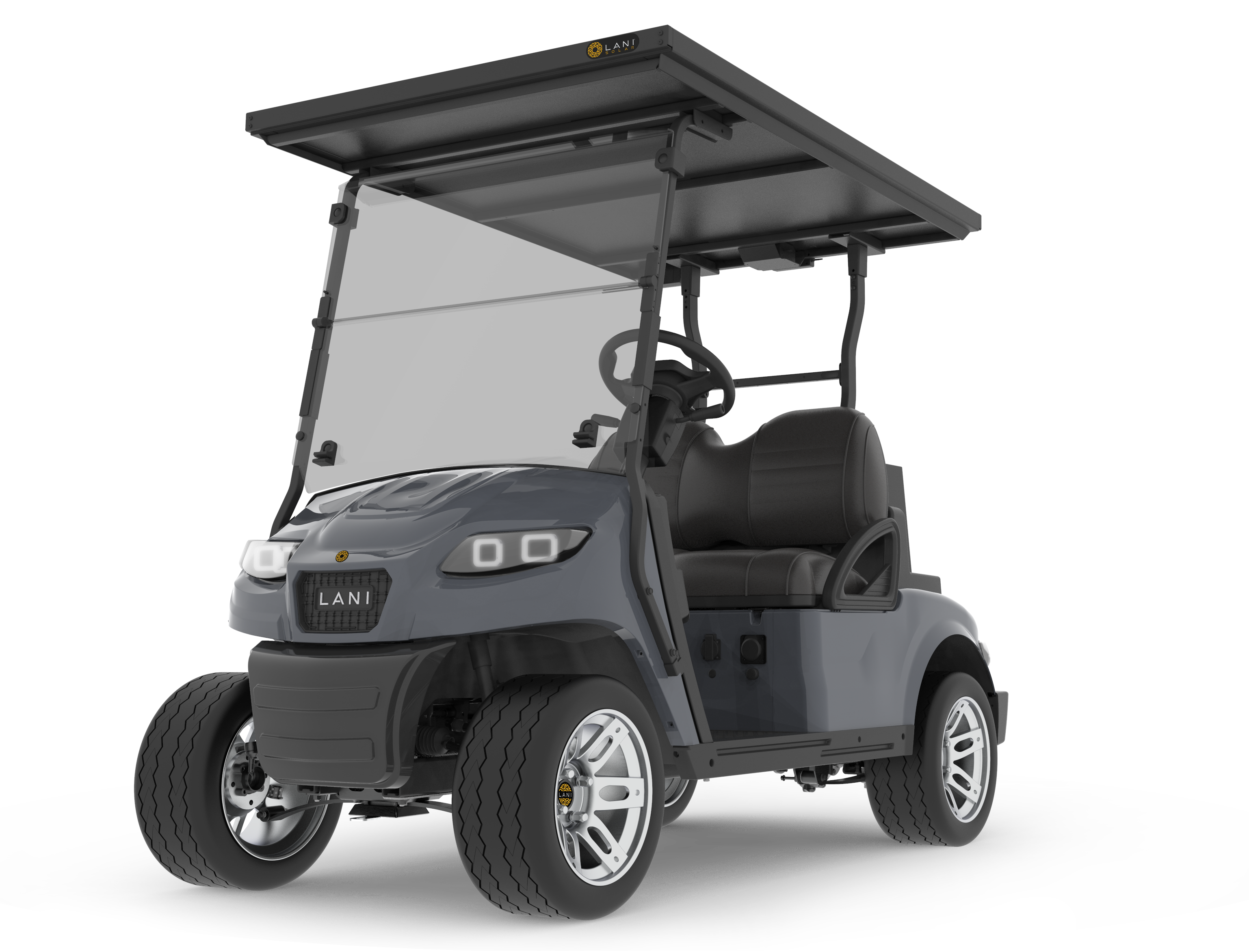 L2 Electric Golf Cart