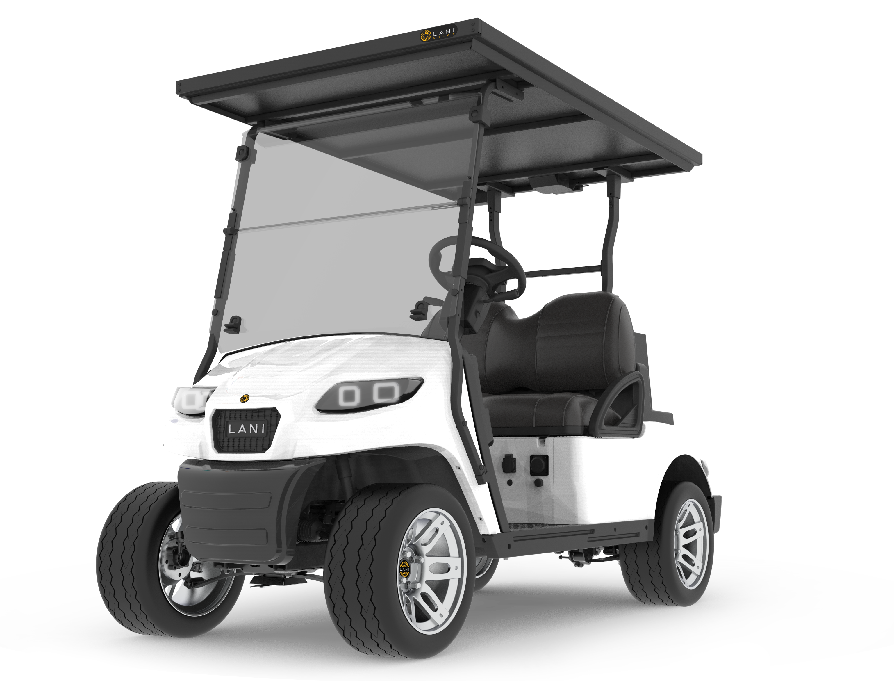L2 Electric Golf Cart