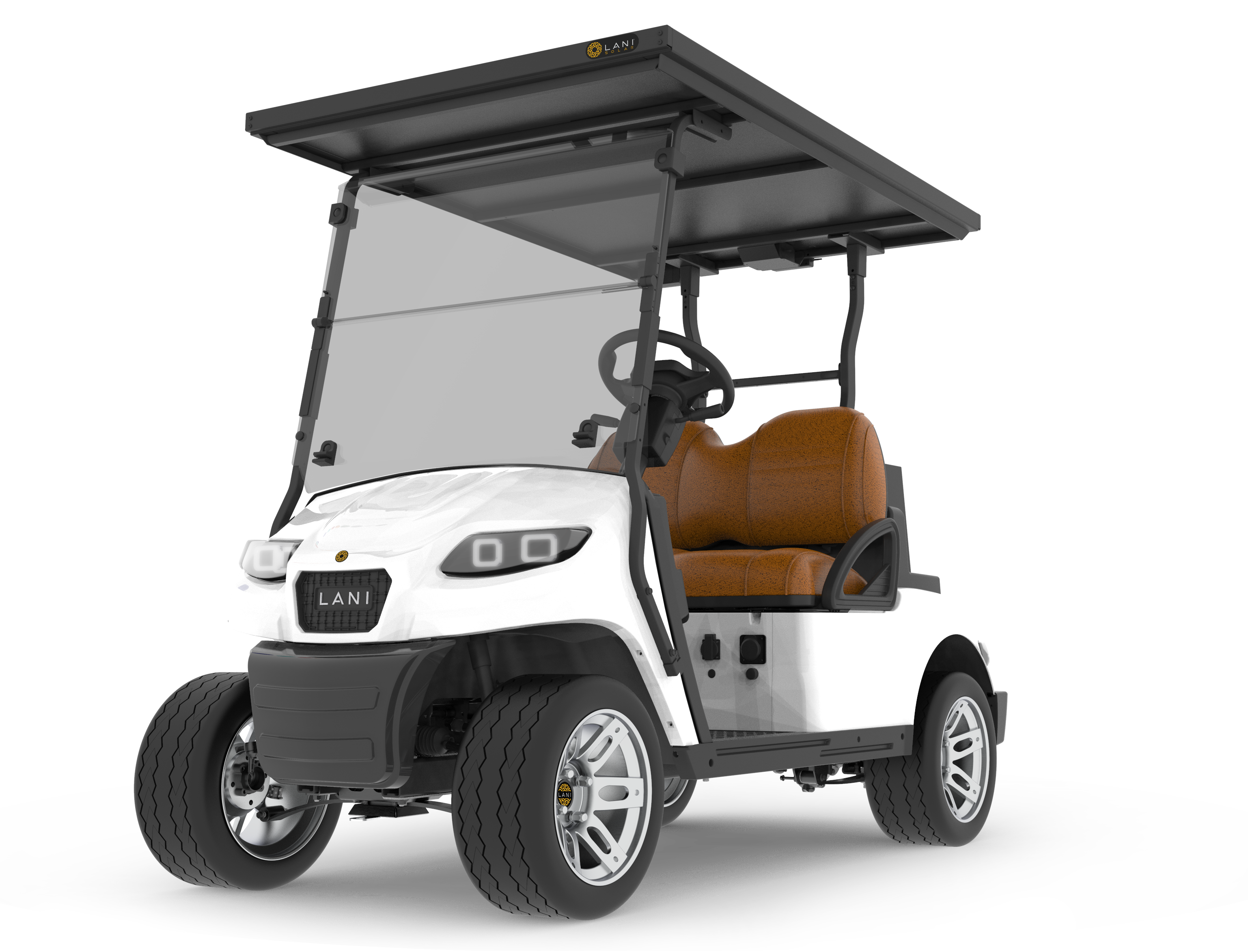 L2 Electric Golf Cart