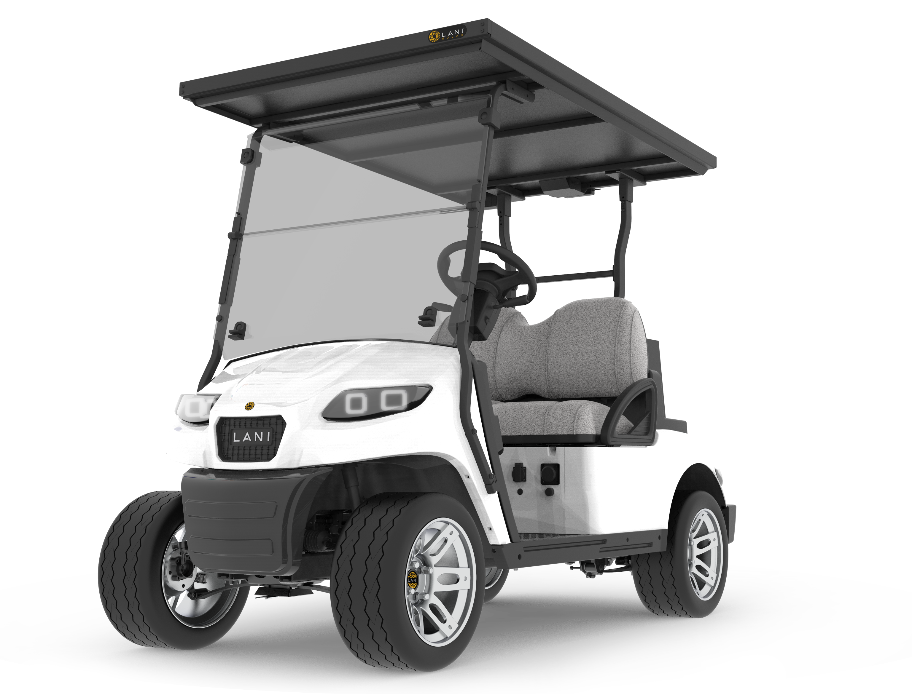 L2 Electric Golf Cart